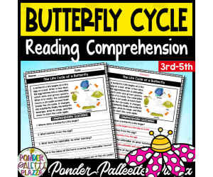 The Life Cycle of a Butterfly - Reading Comprehension + Answers
