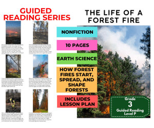 The Life of a Forest Fire: Guided Reading Level P with Lesson Plan