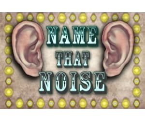 The "Name That Noise!" Game