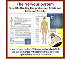 The Nervous System Reading Comprehension Article - Grade 8 and Up