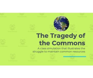 The Tragedy of the Commons Simulation