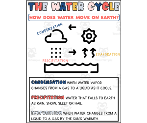 The Water Cycle Printable