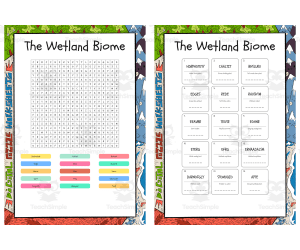 The Wetland Biome word search, scramble and crossword