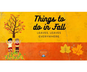 Things To Do in Fall - Leaves Activity