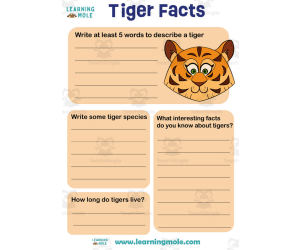 Tiger Activity