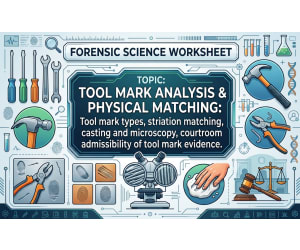 Tool Mark Analysis & Physical Matching