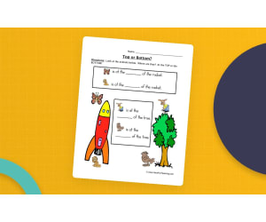 Top or Bottom Pictures Worksheet