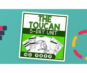 Toucan Unit Study (Rainforest Animals Lesson Plan, Videos, Activities)