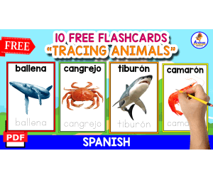 TRACING AQUATIC ANIMALS IN SPANISH | 10 FREE FLASHCARDS
