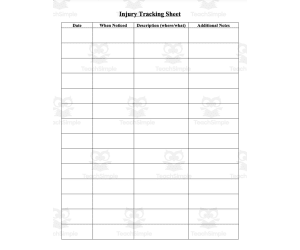 Tracking Sheet for Injuries