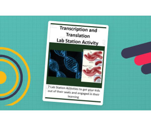 Transcription and Translation - Protein Synthesis - 7 Lab Station Activities