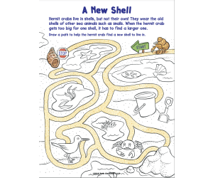 Treasure Hunt Mazes: Volume 3 Activity Book