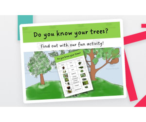 Tree ID Activity – Identify Common Trees Game