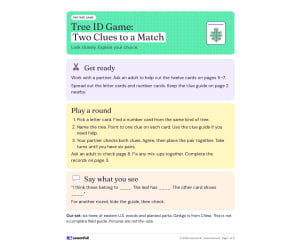 Tree ID Activity – Identify Common Trees Game