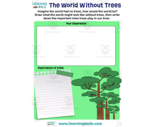 Trees Activity
