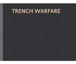 Trench Warfare World History Presentation & Notes