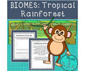Tropical Rainforest Biome Activity