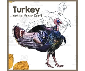Turkey | Jointed Animal Craft | Articulated Craft