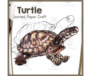 Turtle | Jointed Animal Craft | Articulated Craft