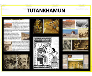 Tutankhamun - Mini Unit