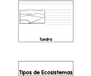 Types of Ecosystems Interactive Notebook