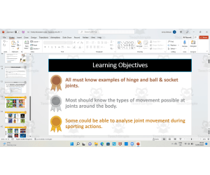 Types of Freely Movable Joints
