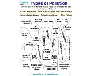 Types of Pollution Activity
