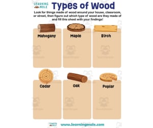 Types of Wood Activity