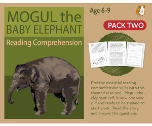 Mogul The Baby Elephant (2) Practise Close Reading Comprehension (6-9 years)