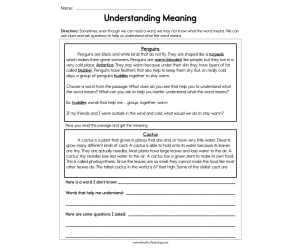 Understanding Meaning Worksheet