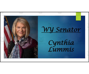 U.S. Senator Cynthia Lummis (WY) Biography PowerPoint