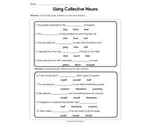 Using Collective Nouns Worksheet
