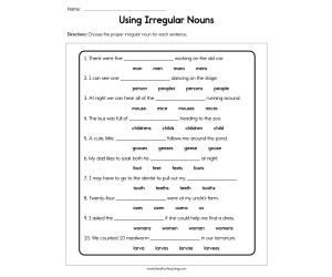 Using Irregular Nouns Worksheet