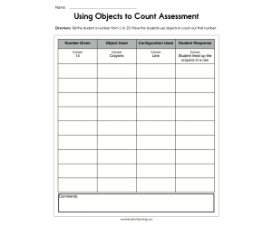 Using Objects to Count Assessment Worksheet