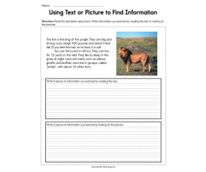 Using Text or Pictures to Find Information Worksheet