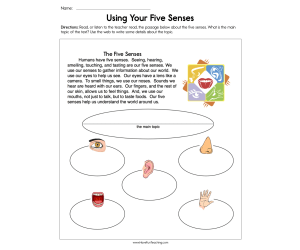 Using Your Five Senses Worksheet