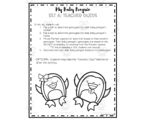 Valentines Genetics Color by Code