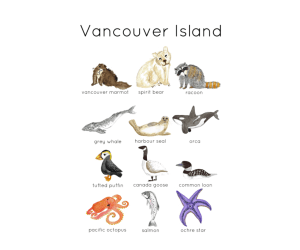 Canadian Wildlife Flashcards