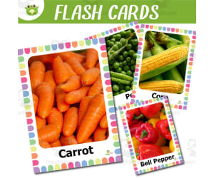 Vegetable Vocabulary Flashcards with Real Photos for Preschool