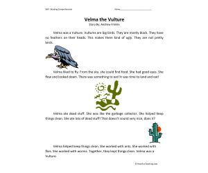 Velma the Vulture Reading Comprehension Worksheet