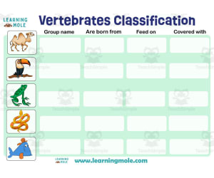 Vertebrates Classification Activity