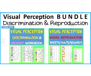 Visual Perception BUNDLE