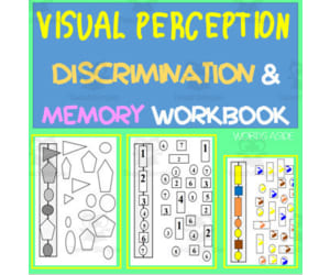 VISUAL PERCEPTION | discrimination and memory boards workbook