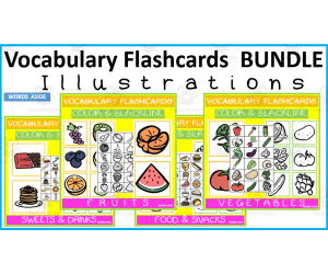 Vocabulary Illustrations Flashcards BUNDLE