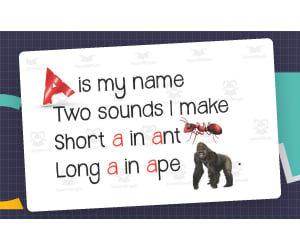 Vowel Sounds Charts/Chants FREEBIE!