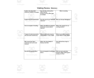 Walking Review Activity - Memory