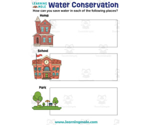Water Conservation Activity