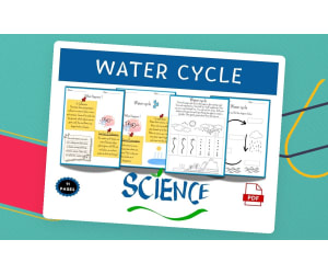 Water Cycle Earth Science Activity