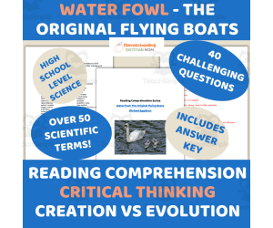 "Waterfowl: The Original Flying Boats" Reading Comprehension Series