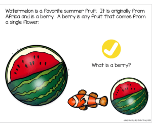 Watermelon Life Cycle Adapted Book Slide Deck, Special Ed